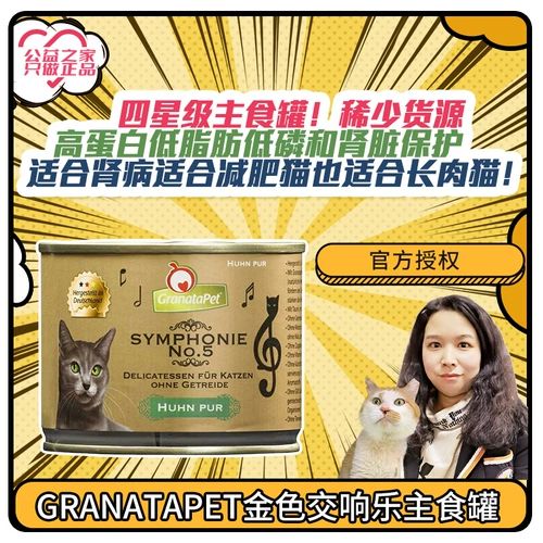 Усыновленный дом Германия Симфония Гранатапет Консервированная золотая кошка с полной ценой