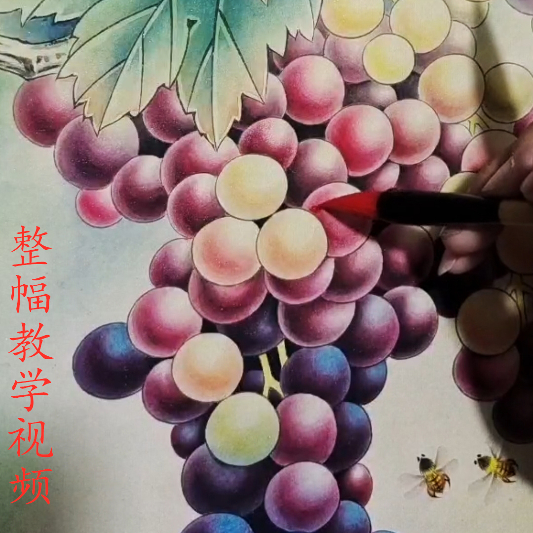 工笔画手勾熟宣线描可直接上色底稿国画初学者素材梅花白头鸟课程 - 图2