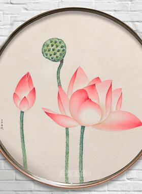 工笔画底稿白描画稿荷花白描底稿