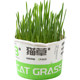 Parrot malt grass grain barley seed bird grass box