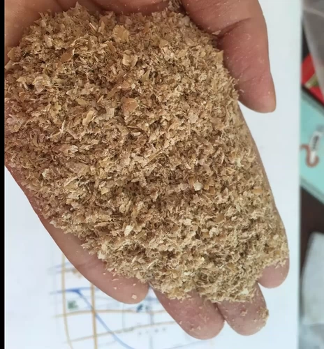 Пшеничные пшеничные пшеницы курицы