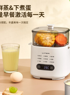 厂家直销智能煮蛋器WIFER家用蒸蛋器多功能小型迷你早餐机厂家