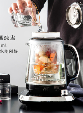多功能炖煮燕窝花茶养生壶可保温