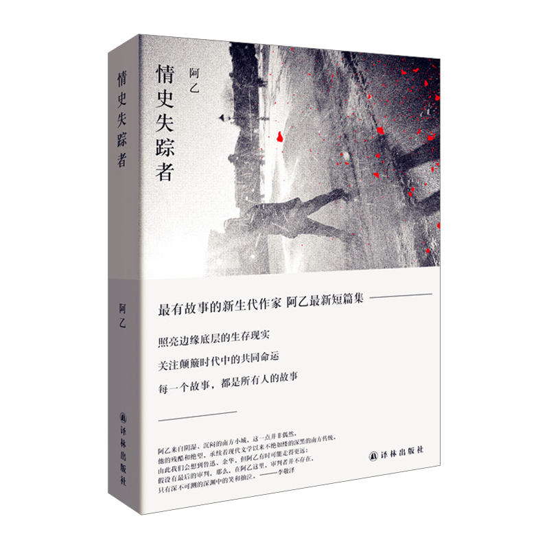 情史失踪者(精) 阿乙 著 小说作品集 - 图1