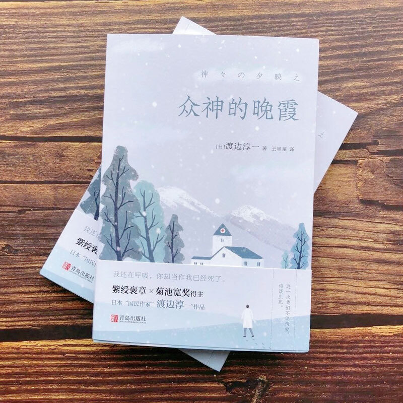 众神的晚霞 渡边淳一 著 外国现当代文学小说 失乐园复乐园 对人性的深刻剖析和对情感的真实披露 - 图2