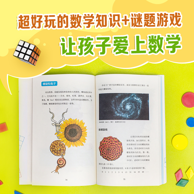 太喜欢了!数学 经典数学读物 数学拓展 中小学课外读物 数学启蒙 数学兴趣 逻辑推理 几何 数学模型 逻辑思维 - 图1