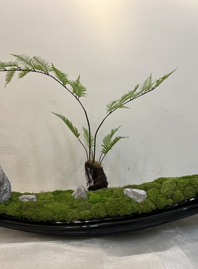 创景《船体景观绿植造景》落地摆件售楼处民宿文旅空间软装