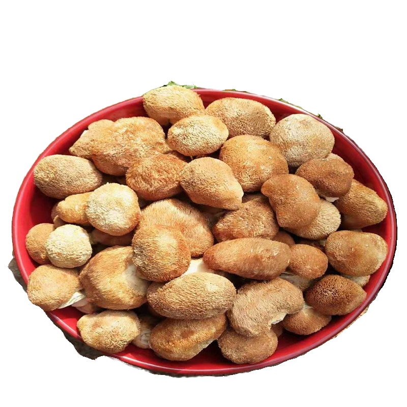 小猴头菇干货福建古田特产深山种植猴头菌菇菌自然无硫熏500g包邮 - 图3