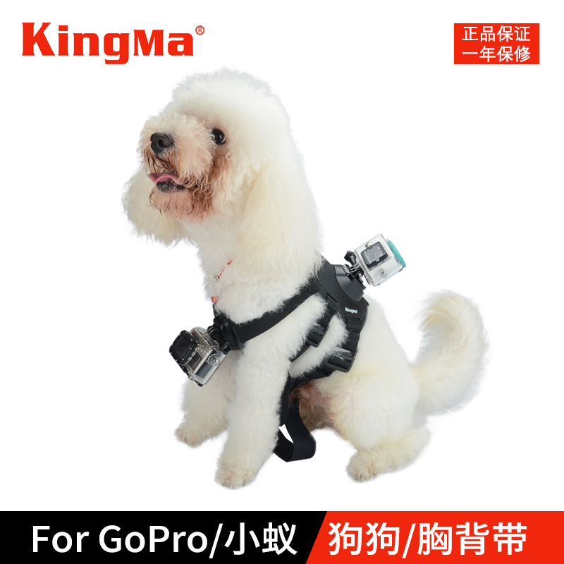 勁碼狗帶for gopro hero7/6/5狗狗揹帶 寵物狗胸帶 小蟻運動相機配件 胸前固定帶dji大疆osmo action運動相機