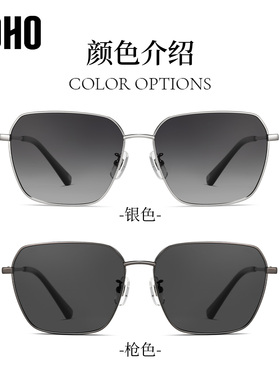 LOHO商场同款复古大框太阳镜墨镜偏光防紫外线男女通用LH13628
