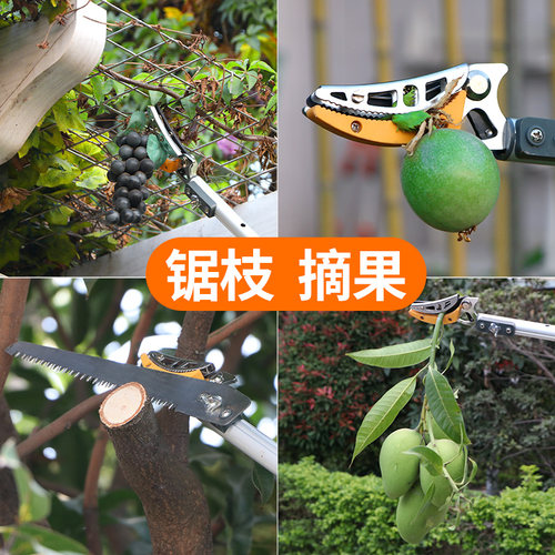 朗祺高空剪高枝锯摘果修枝剪刀可伸缩省力园林果树枝园艺工具采摘 - 图1