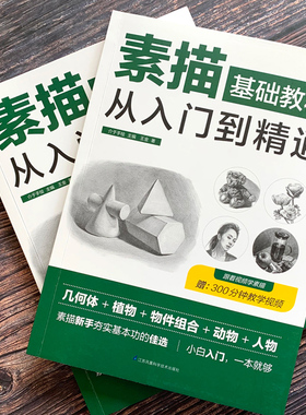 素描零基础教程从入门到精通自学入门教程材书籍铅笔手绘画从单个体石膏几何体成人美术的诀窍临摹范本到精通套人物头像速写绘画