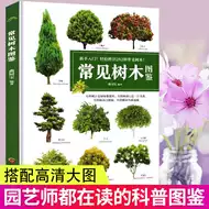 绿化树苗木庭院 新人首单立减十元 21年8月 淘宝海外