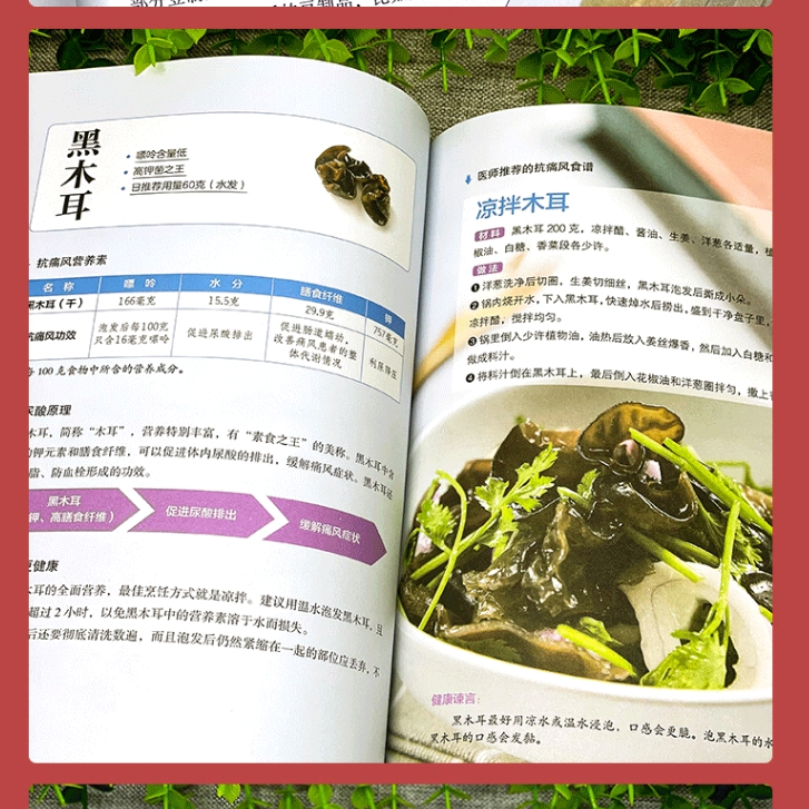 全新正版 痛风衣食住行一看就懂 尿酸的痛风巧吃法 痛风书吃出健康痛风吃什么膳食指南痛风食品调理食疗养生营养药膳救命饮食 - 图0