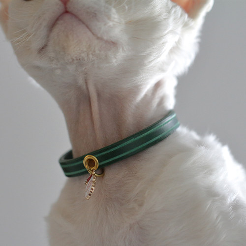 简约猫狗项圈S钩皮革 手作姓名牌脖圈定制尺寸手工制宠物挂牌皮圈 - 图0