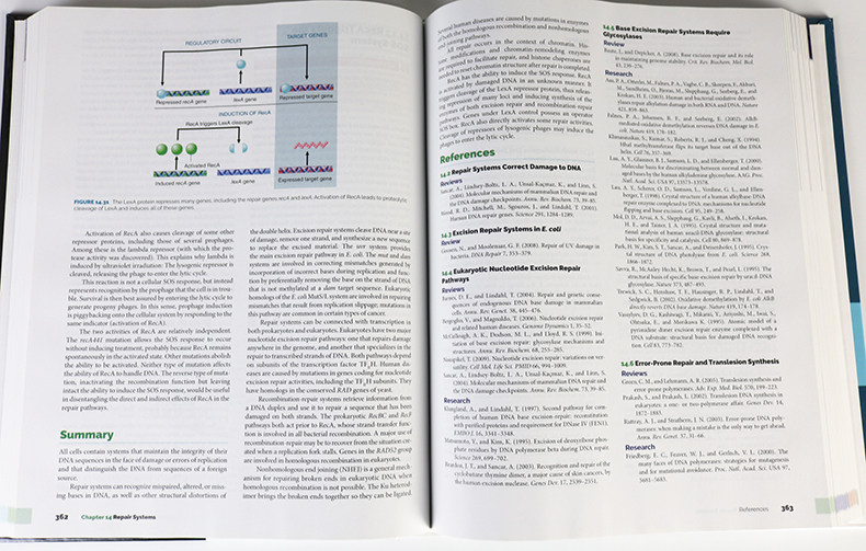 英文原版 Lewin's Genes XII基因第12版精装英文版进口英语原版书籍_虎窝淘