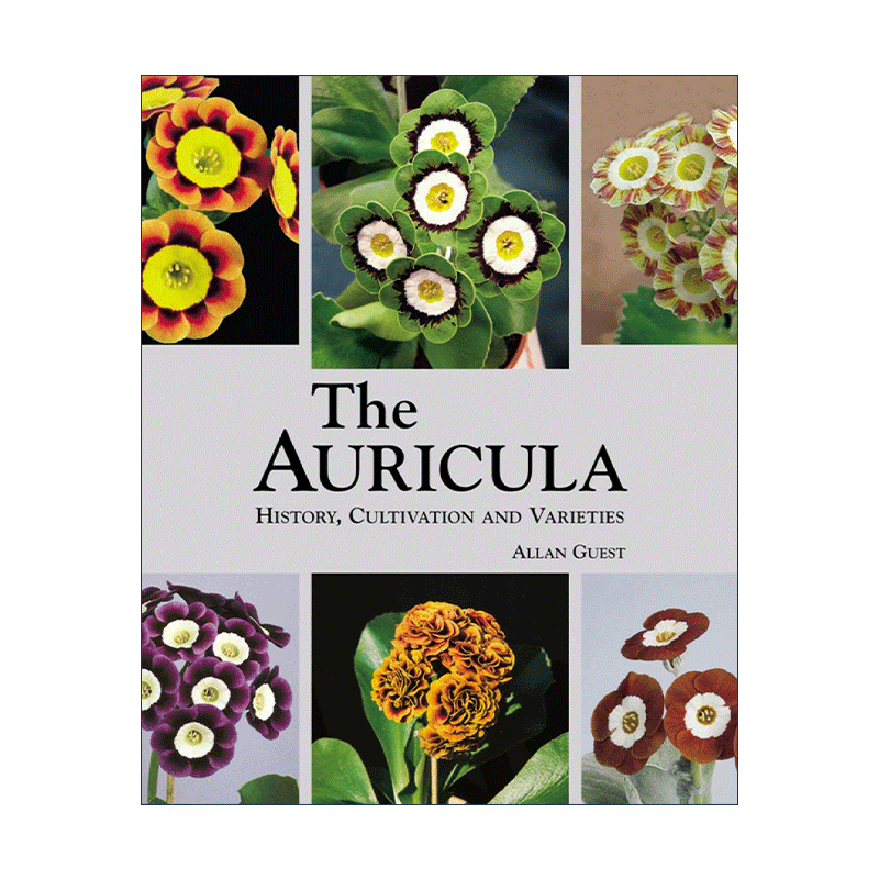 英文原版 Auricula History  Cultivation and Varieties 报春花 耳叶报春 金雀花 历史 栽培和品种 精装英文版进口英语原版书籍 - 图0