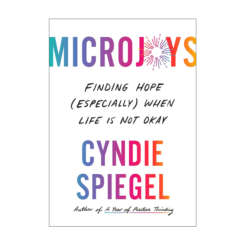 英文原版 Microjoys 微快乐 人生忽如寄 莫辜负茶 汤 好天气 Cyndie Spiegel 精装 英文版 进口英语原版书籍