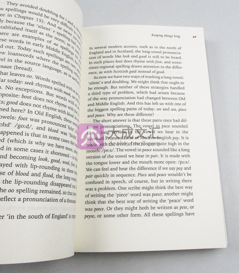 英文原版 一一道来 英语拼写的奇异故事 Spell It Out The singular story of English spelling