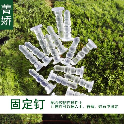菁娇 苔藓微景观制作工具DIY材料 底部固定针 镊子喷壶弯嘴壶教程 - 图0