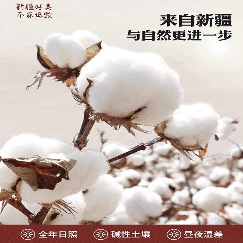 A类纯棉抗菌大豆纤维被子被芯冬被棉被宿舍单人学生春秋被冬季被,淘宝优惠券,粉丝福利购,淘宝优惠卷