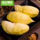 XD Thai Golden Pillow Shelled Durian Pulp (Pure Meat with Core Including Packaging 300g/box
