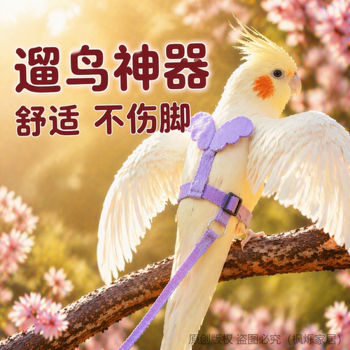 鹦鹉牵引绳外出放飞绳户外遛鸟神器玄凤牡丹超轻不伤脚背带小鸟芰 - 图2