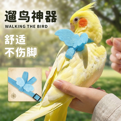鹦鹉牵引绳外出放飞绳户外遛鸟神器玄凤牡丹超轻不伤脚背带小鸟芰 - 图0