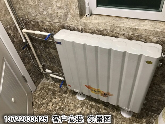 储水式换热器巨无霸过水热家用暖气片热交换器地暖洗澡挂墙式水暖 - 图0