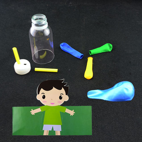 幼儿园儿童初中生物科学小实验科技小制作材料手工diy模拟肺呼吸 - 图1