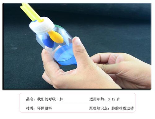 幼儿园儿童初中生物科学小实验科技小制作材料手工diy模拟肺呼吸 - 图3