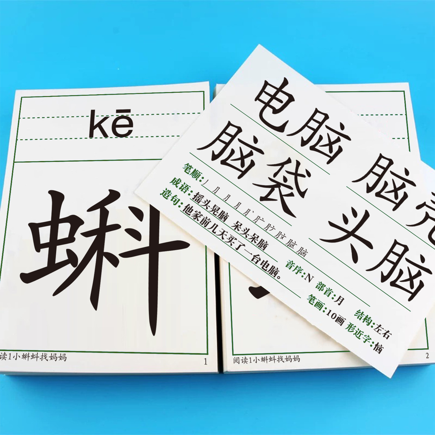 小学语文生字与词语教师卡片二年级上册下册供教学使用同步2026人教版课本教材图书辅导小学生会认字识字写字生词组词老师专用教具