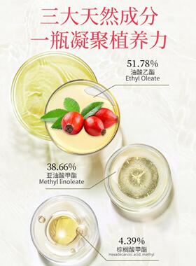 芳利源红玫瑰果油基础油智利进口