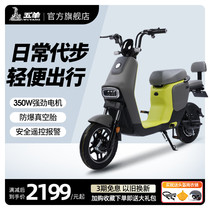 Five Sheep Electric Cars New 48v New National Standard Electric Bike Mens Mini Motorcycle Scooter Electric Bottle