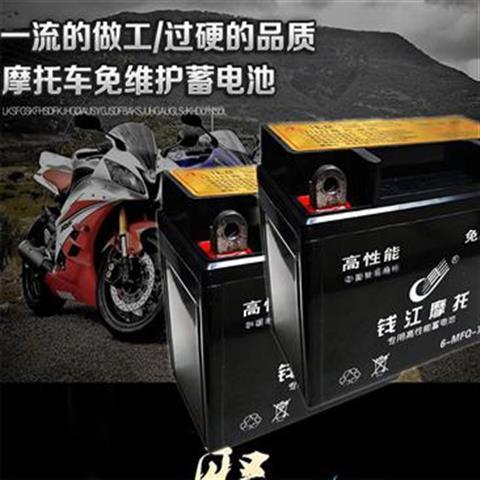 弯梁摩托车干电池豪爵钱江大阳宗申110/100通用12V5A免维护电瓶 - 图0