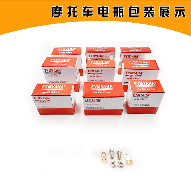 Flying Eagle Yamaha Qiauge ZY100T motorcycle battery