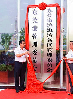 五一表彰绸布花房门挂红结婚陪嫁新车装饰大红花胸前颁奖红色胸花