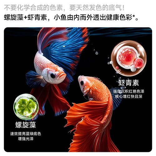 yee小型鱼通用饲料孔雀热带鱼观赏鱼灯科鱼斗鱼食小颗粒观赏鱼粮 - 图3