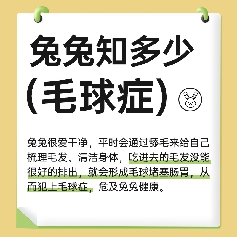 yee兔子零食天然木瓜丝富含木瓜蛋白酶助排毛球仓鼠龙猫磨牙食物-图0