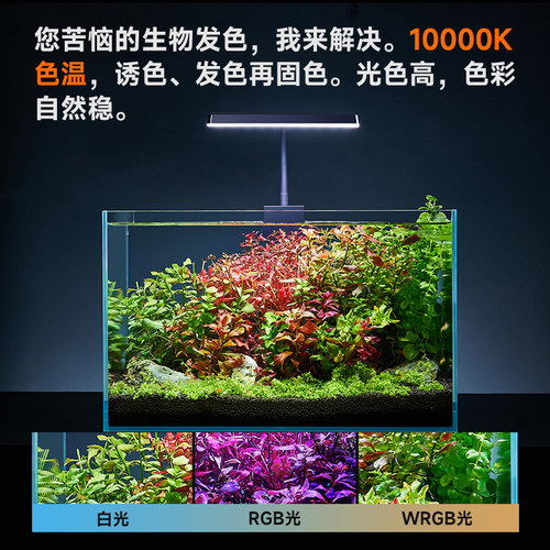 yee鱼缸灯LED水草灯全光谱迷你夹灯增艳观赏小型造景鱼缸专用灯 - 图0