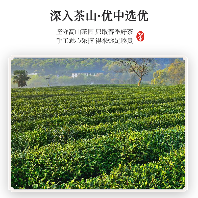 虎标茉莉花茶京味系列特种浓香型茶叶240g醇香2022新茶绿茶茗茶