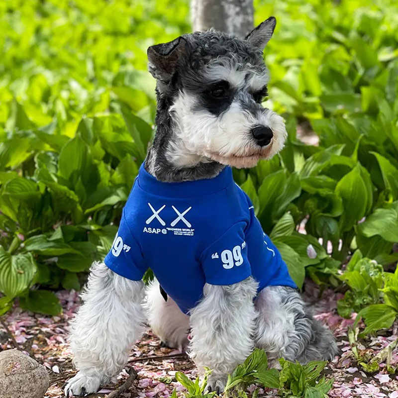 泰迪贵宾可爱夏服 新人首单立减十元 21年9月 淘宝海外