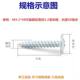 Large flat head cross pointed tail screw wood screw