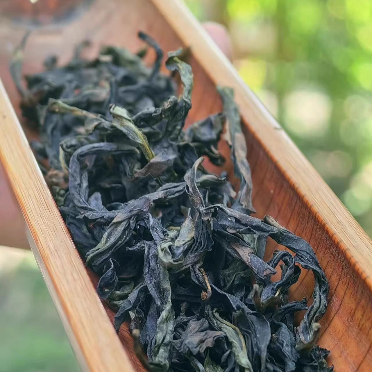 肉桂鲜茶 2025年新茶 武夷岩茶 无炭火味乌龙茶 80克/罐,淘宝优惠券,粉丝福利购,淘宝优惠卷