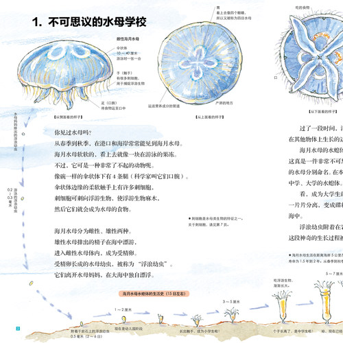 加古里子手绘博物百科全套8册儿童科普绘本动物植物高山海洋地球宇宙秘密全解自然大图鉴博物君张辰亮审订指导儿童博物百科全书籍 - 图2