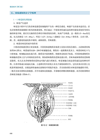 教材.食品化学第二版普通高等教育十五国家级规划教材江波杨瑞金主编本科食品食品工业食品食品科学与工程类教学层次本科2018年首 - 图3