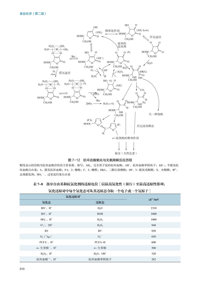 教材.食品化学第二版普通高等教育十五国家级规划教材江波杨瑞金主编本科食品食品工业食品食品科学与工程类教学层次本科2018年首-图2