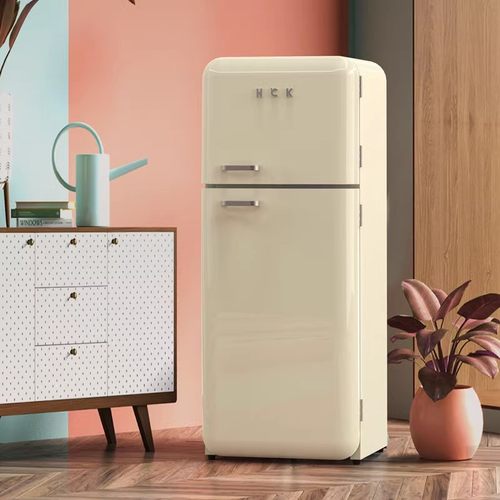 HCK哈士奇复古冰箱高颜值冷藏冷冻美式家用网红彩色冰柜小香风Pro - 图0