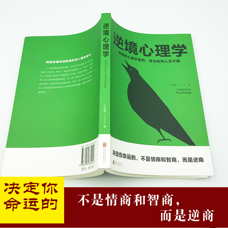 逆境心理学抗压力逆境重生法则受益匪浅的积极心理学诀窍中国哲学励志成功心理学将来的你一定会感谢现在拼命的自己XL-图2