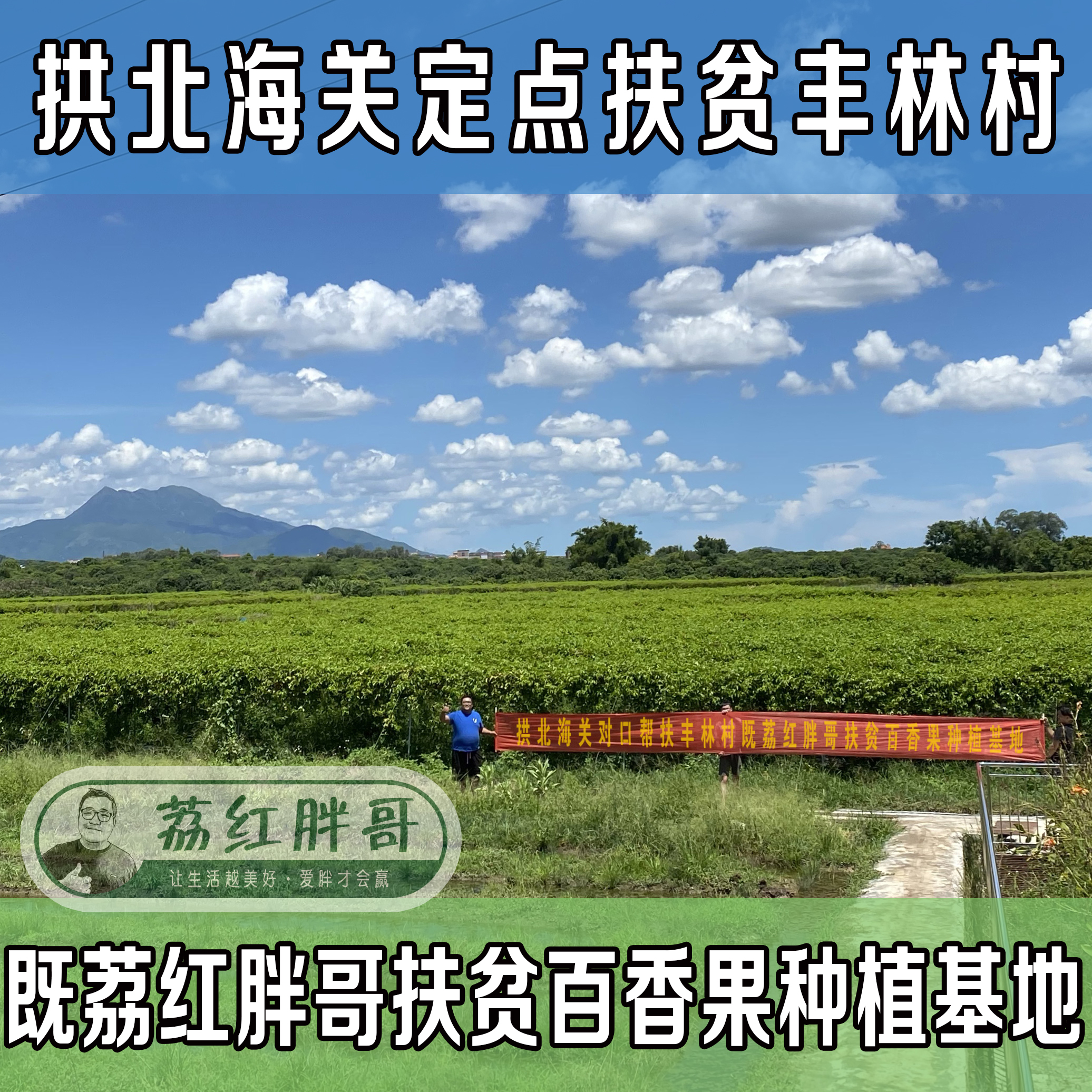 广西新鲜百香果邮特级白香果图片_2